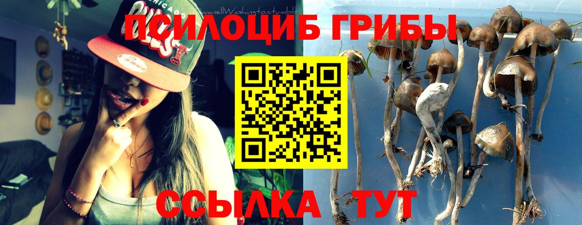 Гай  Галлюциногенные грибы ЛСД  Вход с VPN 